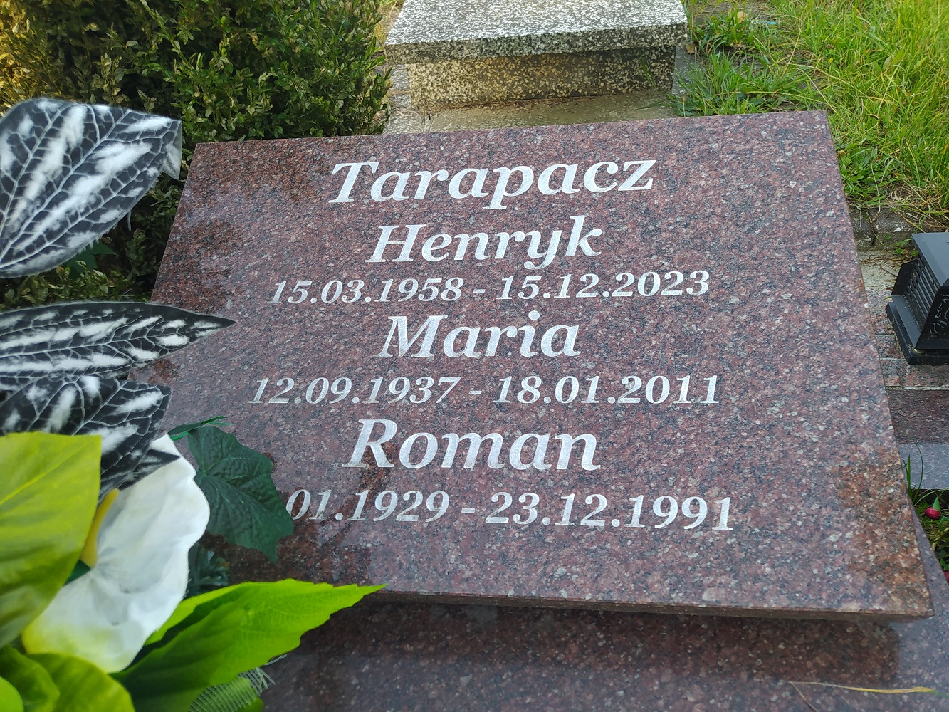 Henryk Tarapacz 1958 Władysławowo - Grobonet - Wyszukiwarka osób pochowanych